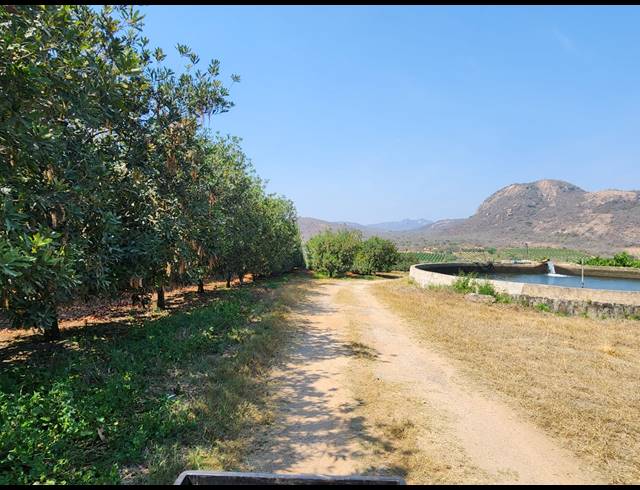 112HA FARM FOR SALE IN NELSPRUIT RURAL